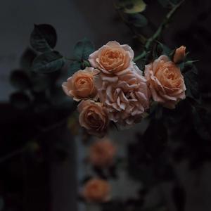 有一个老太婆和小伙子黄色毛片演一个有一个小伙子黄色毛片
